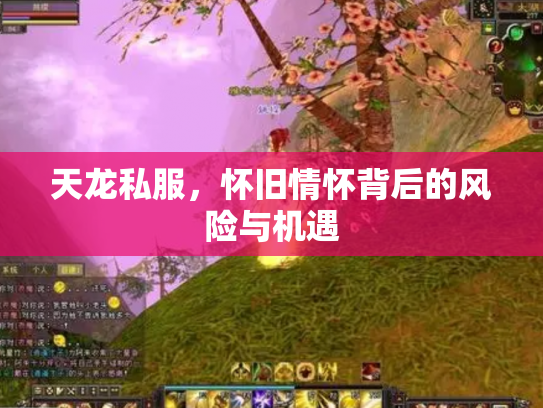 天龙私服，怀旧情怀背后的风险与机遇