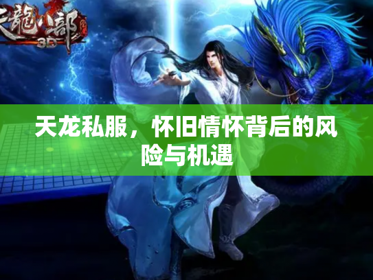 天龙私服，怀旧情怀背后的风险与机遇