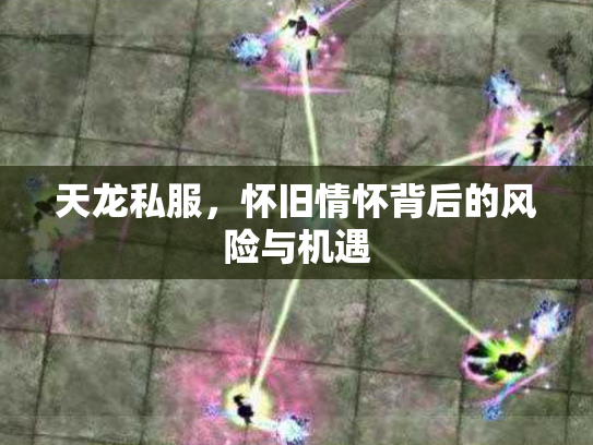 天龙私服，怀旧情怀背后的风险与机遇