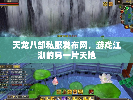 天龙八部私服发布网，游戏江湖的另一片天地