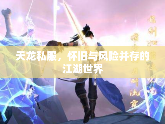 天龙私服，怀旧与风险并存的江湖世界