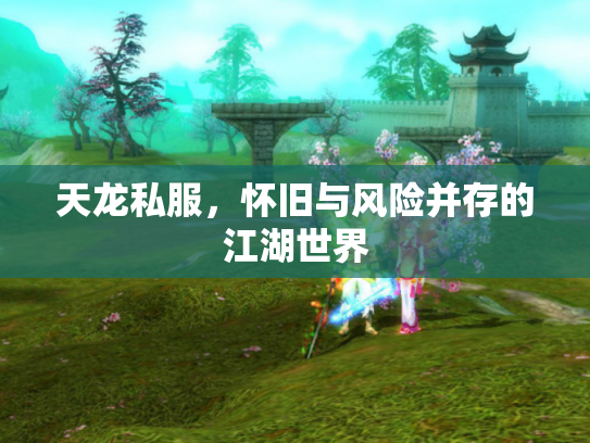 天龙私服，怀旧与风险并存的江湖世界