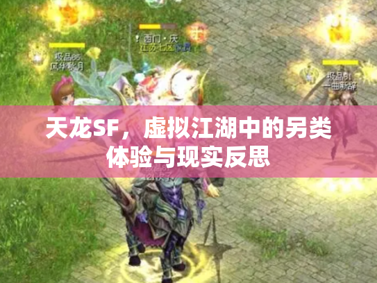 天龙SF，虚拟江湖中的另类体验与现实反思