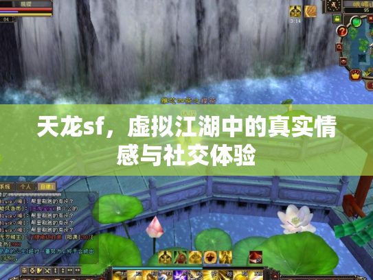 天龙sf，虚拟江湖中的真实情感与社交体验