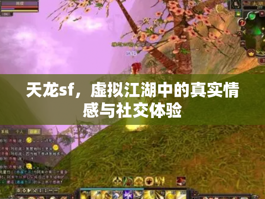 天龙sf，虚拟江湖中的真实情感与社交体验