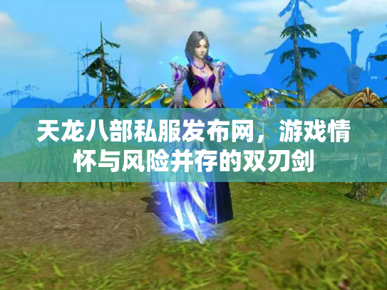 天龙八部私服发布网，游戏情怀与风险并存的双刃剑
