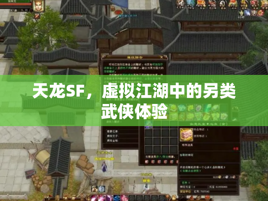 天龙SF，虚拟江湖中的另类武侠体验