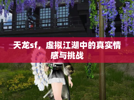 天龙sf，虚拟江湖中的真实情感与挑战