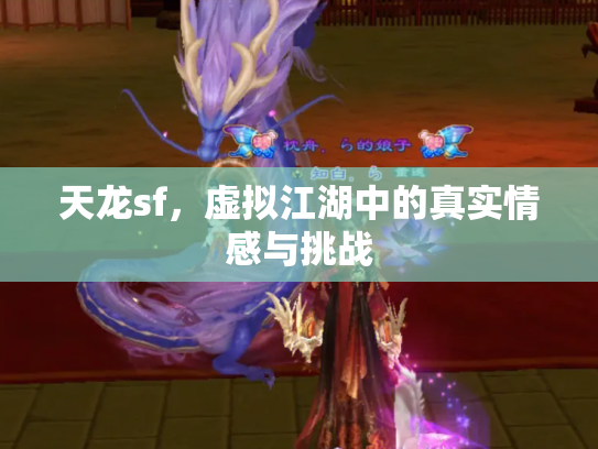 天龙sf，虚拟江湖中的真实情感与挑战