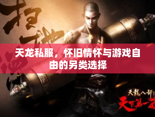 天龙私服，怀旧情怀与游戏自由的另类选择