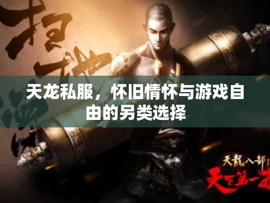 天龙私服，怀旧情怀与游戏自由的另类选择