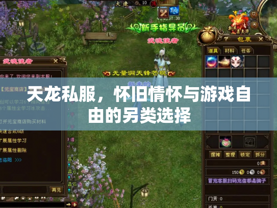 天龙私服，怀旧情怀与游戏自由的另类选择