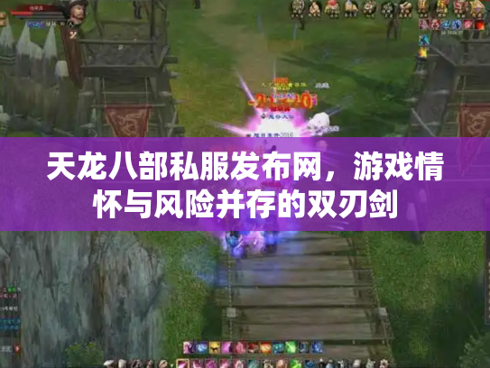 天龙八部私服发布网，游戏情怀与风险并存的双刃剑
