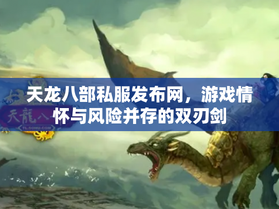 天龙八部私服发布网，游戏情怀与风险并存的双刃剑