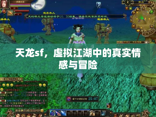 天龙sf，虚拟江湖中的真实情感与冒险