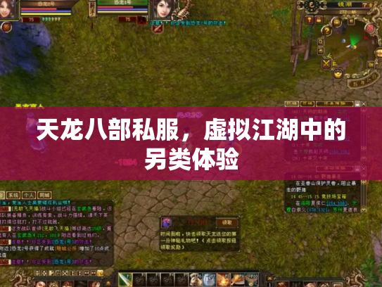 天龙八部私服，虚拟江湖中的另类体验