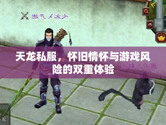 天龙私服，怀旧情怀与游戏风险的双重体验
