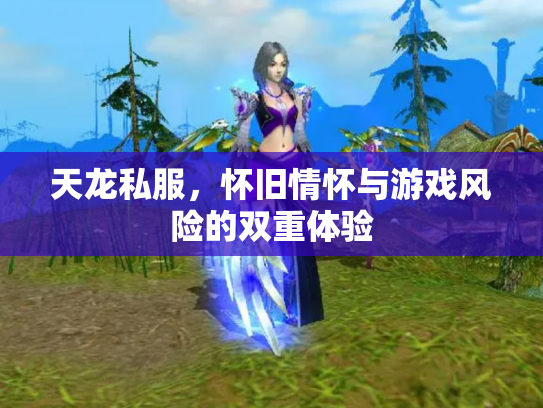 天龙私服，怀旧情怀与游戏风险的双重体验