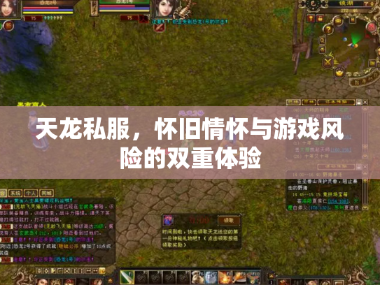 天龙私服，怀旧情怀与游戏风险的双重体验