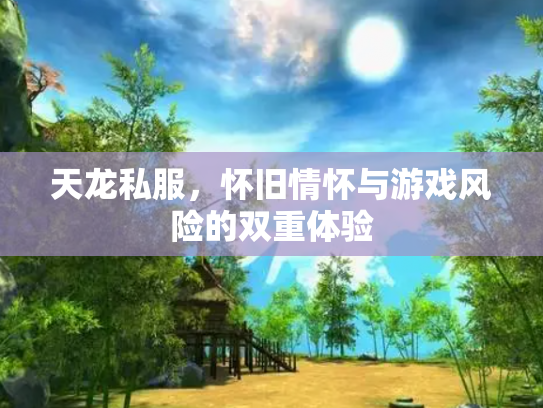 天龙私服，怀旧情怀与游戏风险的双重体验