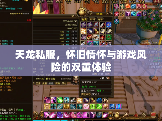 天龙私服，怀旧情怀与游戏风险的双重体验