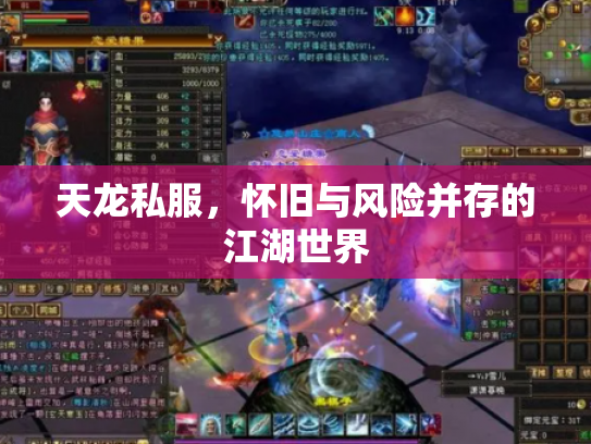 天龙私服，怀旧与风险并存的江湖世界