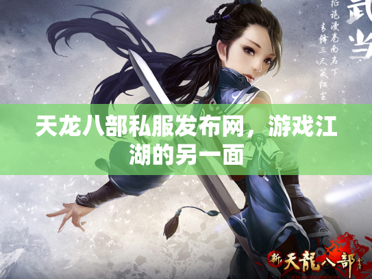 天龙八部私服发布网，游戏江湖的另一面