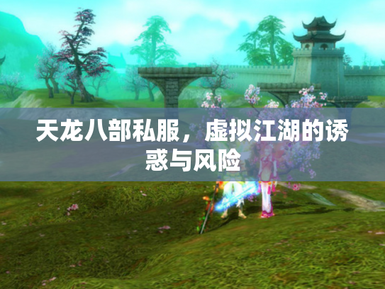 天龙八部私服，虚拟江湖的诱惑与风险