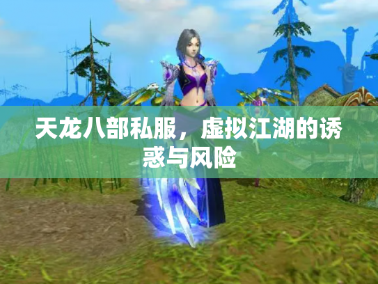 天龙八部私服，虚拟江湖的诱惑与风险