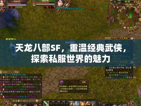 天龙八部SF，重温经典武侠，探索私服世界的魅力