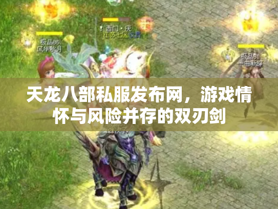 天龙八部私服发布网，游戏情怀与风险并存的双刃剑