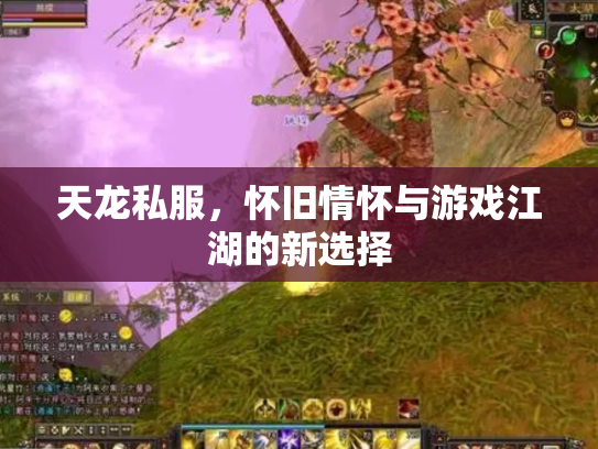 天龙私服，怀旧情怀与游戏江湖的新选择