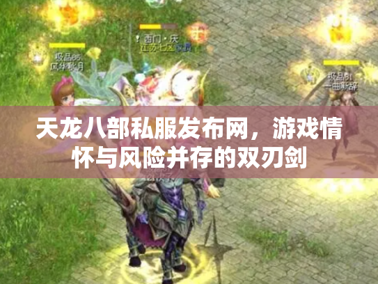 天龙八部私服发布网，游戏情怀与风险并存的双刃剑
