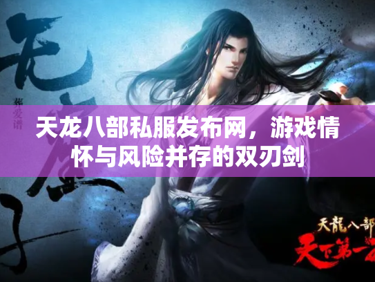 天龙八部私服发布网，游戏情怀与风险并存的双刃剑