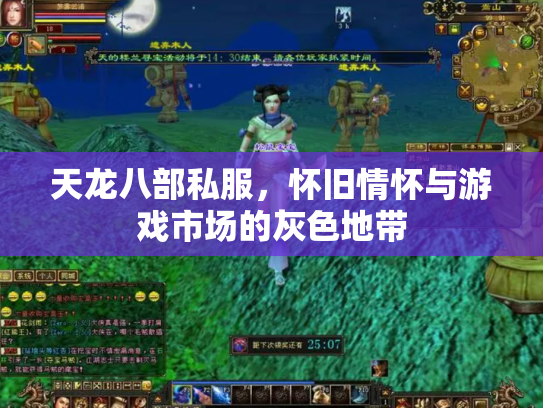 天龙八部私服，怀旧情怀与游戏市场的灰色地带