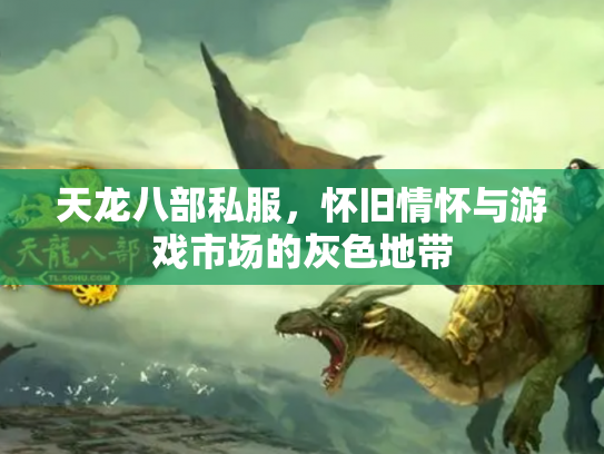 天龙八部私服，怀旧情怀与游戏市场的灰色地带