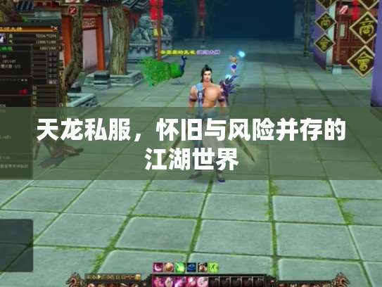 天龙私服，怀旧与风险并存的江湖世界