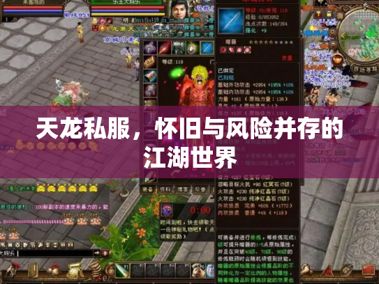 天龙私服，怀旧与风险并存的江湖世界