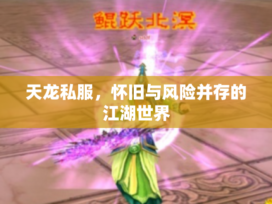 天龙私服，怀旧与风险并存的江湖世界
