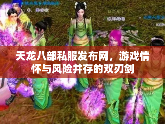 天龙八部私服发布网，游戏情怀与风险并存的双刃剑