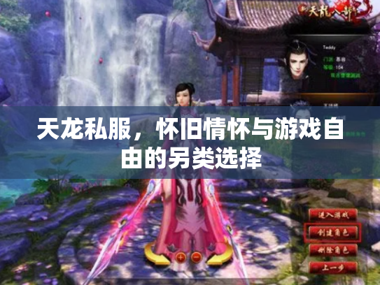 天龙私服，怀旧情怀与游戏自由的另类选择