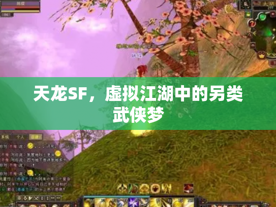天龙SF，虚拟江湖中的另类武侠梦