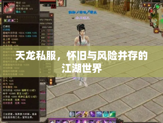 天龙私服，怀旧与风险并存的江湖世界