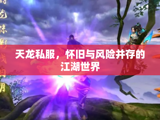 天龙私服，怀旧与风险并存的江湖世界