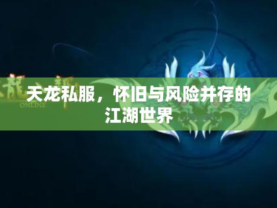 天龙私服，怀旧与风险并存的江湖世界
