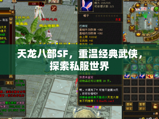 天龙八部SF，重温经典武侠，探索私服世界