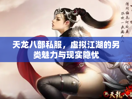 天龙八部私服，虚拟江湖的另类魅力与现实隐忧