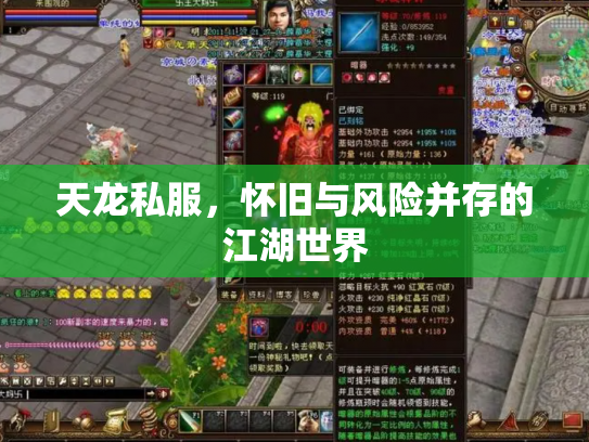 天龙私服，怀旧与风险并存的江湖世界