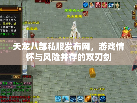 天龙八部私服发布网，游戏情怀与风险并存的双刃剑