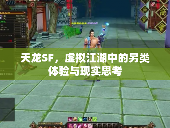 天龙SF，虚拟江湖中的另类体验与现实思考